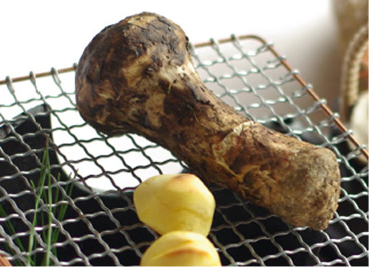 焼き松茸